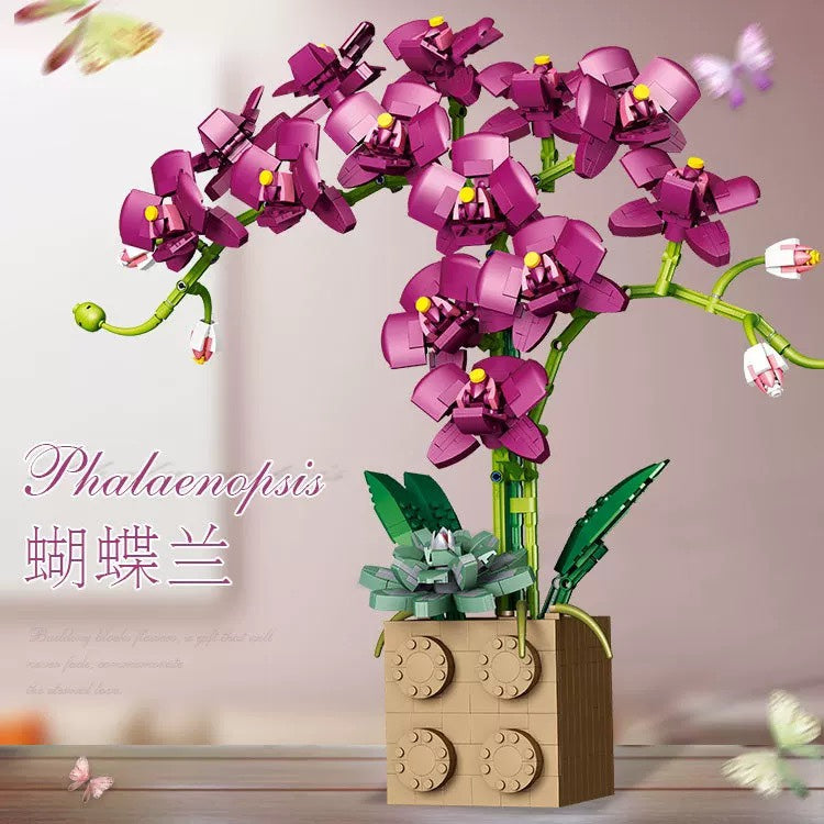 Jibon Phalaenopsis Orchid Series | G5010 – BrickMeUpScottie