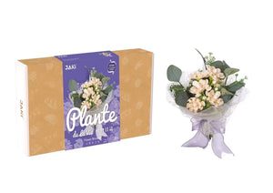 Jaki Flower Bouquet Series | K2682-2688