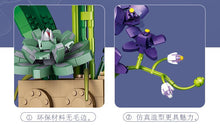 Load image into Gallery viewer, Jibon Phalaenopsis Orchid Series | G5010