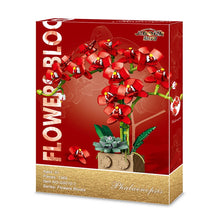 Load image into Gallery viewer, Jibon Phalaenopsis Orchid Series | G5010