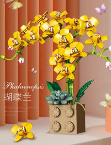 Jibon Phalaenopsis Orchid Series | G5010