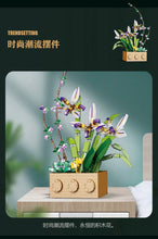 Load image into Gallery viewer, Jibon Cymbidium Ensifolium Flower Set | G5011