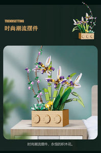 Jibon Cymbidium Ensifolium Flower Set | G5011