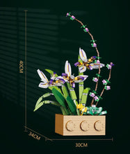 Load image into Gallery viewer, Jibon Cymbidium Ensifolium Flower Set | G5011