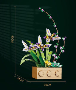 Jibon Cymbidium Ensifolium Flower Set | G5011