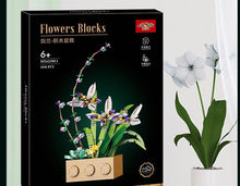 Load image into Gallery viewer, Jibon Cymbidium Ensifolium Flower Set | G5011