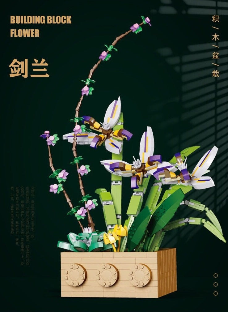 Jibon Cymbidium Ensifolium Flower Set | G5011