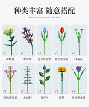 Load image into Gallery viewer, [Panlos] Creative Flower Bouquet | 655001-655002