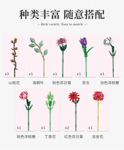 Load image into Gallery viewer, [Panlos] Creative Flower Bouquet | 655001-655002