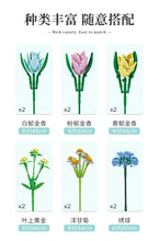 Load image into Gallery viewer, Panlos Flower Tulip Bouquet | 655008