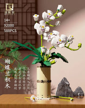 Load image into Gallery viewer, Qizhile Phalaenopsis Orchid | 92000