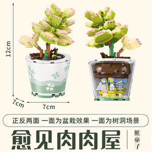 {AREA-X} Succulent Plante Pot Series | 804205 - 12