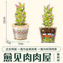 Load image into Gallery viewer, {AREA-X} Succulent Plante Pot Series | 804205 - 12