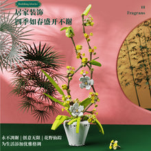 Load image into Gallery viewer, Qizhile Orchids | 92010